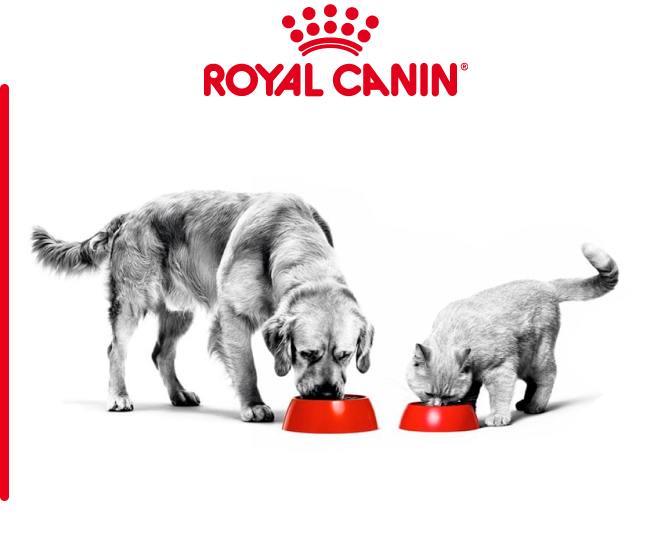 Royal canin